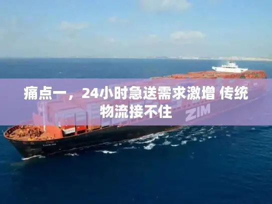 痛点一，24小时急送需求激增 传统物流接不住