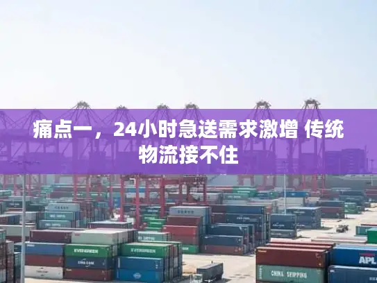 痛点一，24小时急送需求激增 传统物流接不住