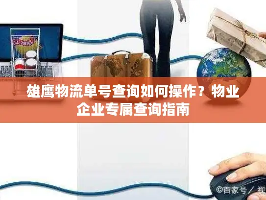 雄鹰物流单号查询如何操作？物业企业专属查询指南
