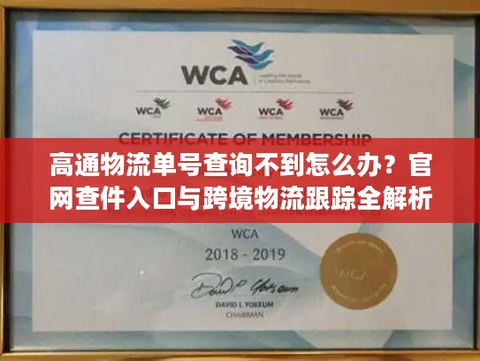 高通物流单号查询不到怎么办？官网查件入口与跨境物流跟踪全解析