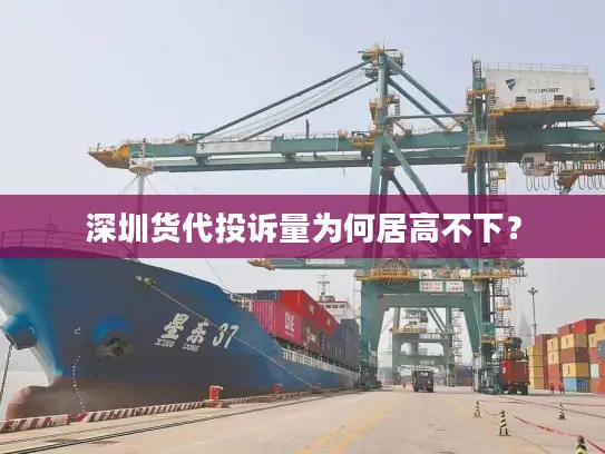 深圳货代投诉量为何居高不下？