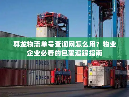 尊龙物流单号查询网怎么用？物业企业必看的包裹追踪指南