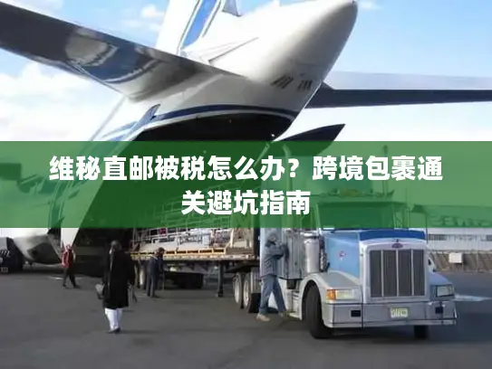 维秘直邮被税怎么办？跨境包裹通关避坑指南