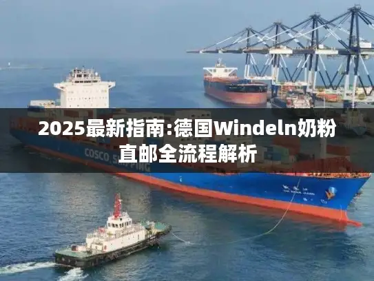 2025最新指南:德国Windeln奶粉直邮全流程解析