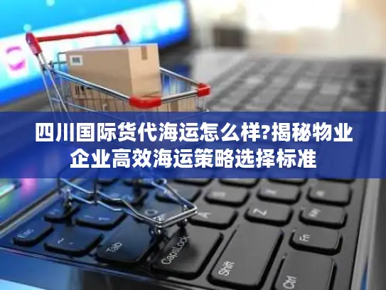 四川国际货代海运怎么样?揭秘物业企业高效海运策略选择标准