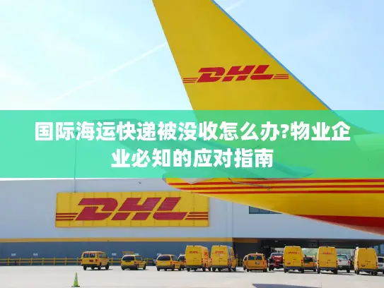 国际海运快递被没收怎么办?物业企业必知的应对指南