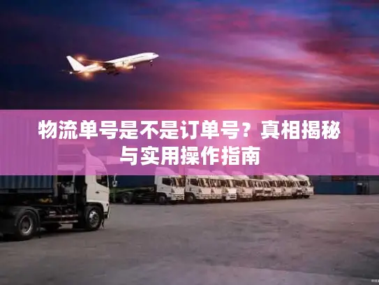 物流单号是不是订单号？真相揭秘与实用操作指南