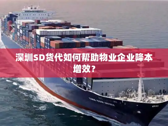深圳SD货代如何帮助物业企业降本增效？