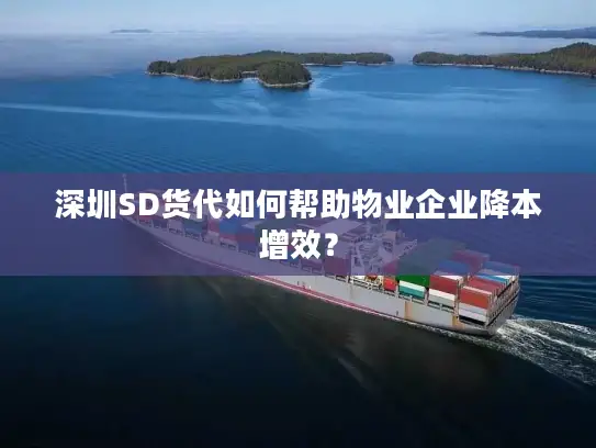 深圳SD货代如何帮助物业企业降本增效？