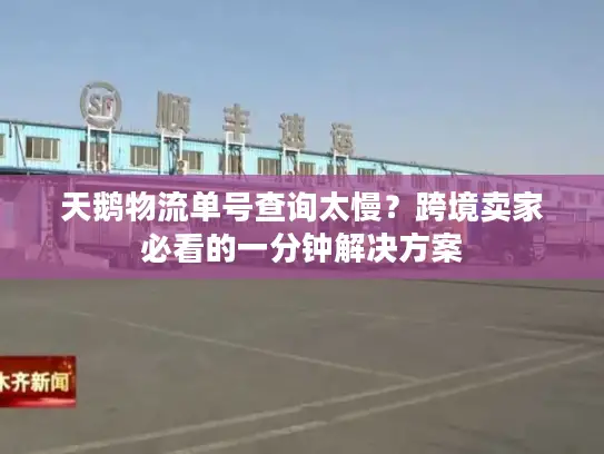 天鹅物流单号查询太慢？跨境卖家必看的一分钟解决方案
