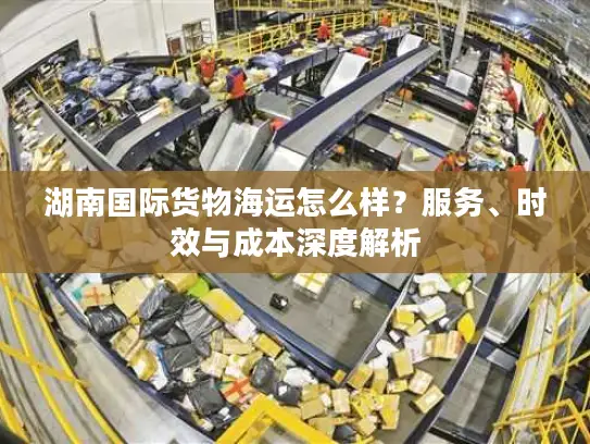 湖南国际货物海运怎么样？服务、时效与成本深度解析