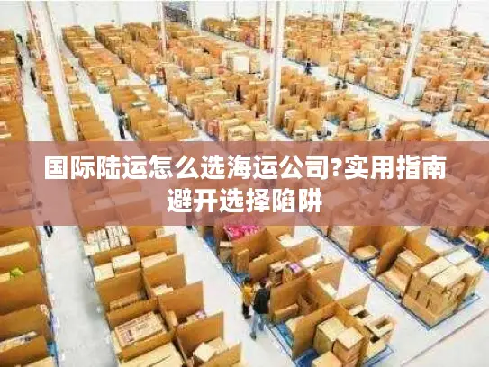 国际陆运怎么选海运公司?实用指南避开选择陷阱