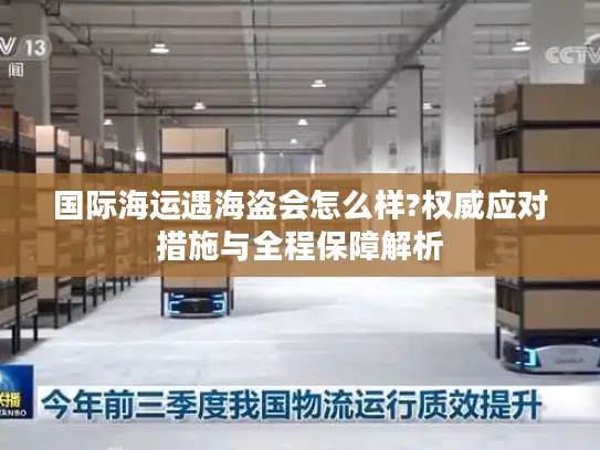 国际海运遇海盗会怎么样?权威应对措施与全程保障解析