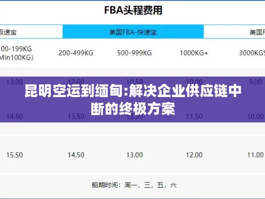 昆明空运到缅甸:解决企业供应链中断的终极方案