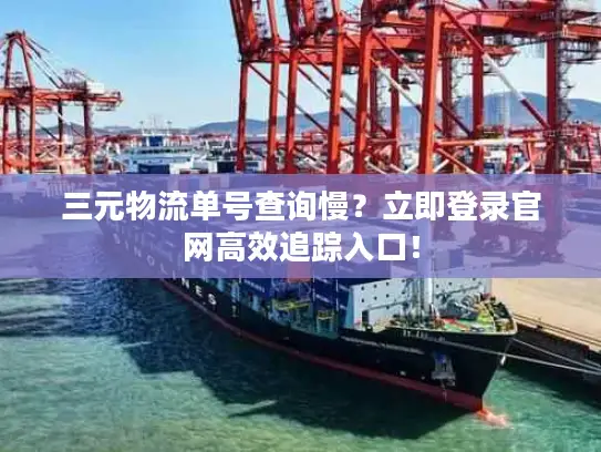 三元物流单号查询慢？立即登录官网高效追踪入口！