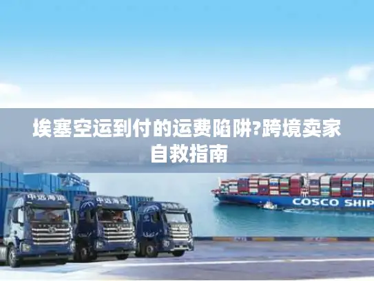 埃塞空运到付的运费陷阱?跨境卖家自救指南