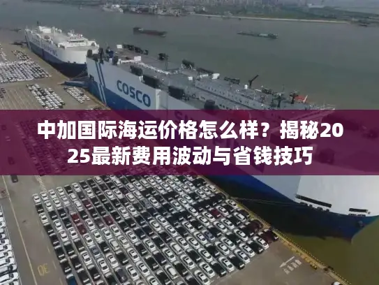 中加国际海运价格怎么样？揭秘2025最新费用波动与省钱技巧