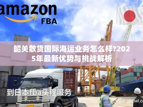 韶关散货国际海运业务怎么样?2025年最新优势与挑战解析