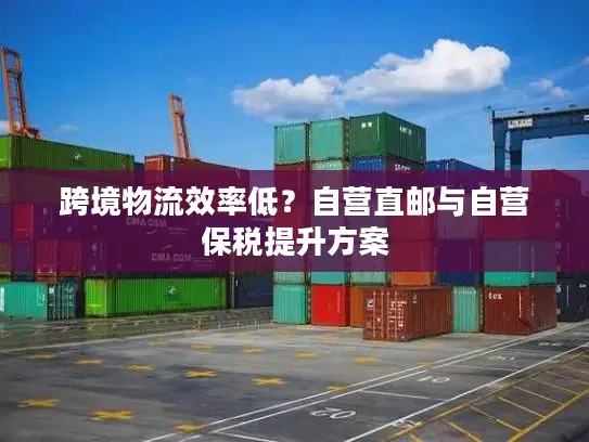 跨境物流效率低？自营直邮与自营保税提升方案