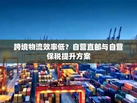 跨境物流效率低？自营直邮与自营保税提升方案