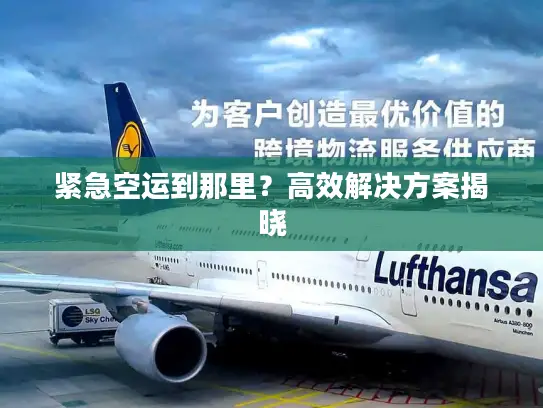 紧急空运到那里？高效解决方案揭晓