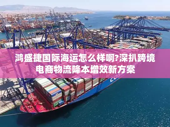 鸿盛捷国际海运怎么样啊?深扒跨境电商物流降本增效新方案