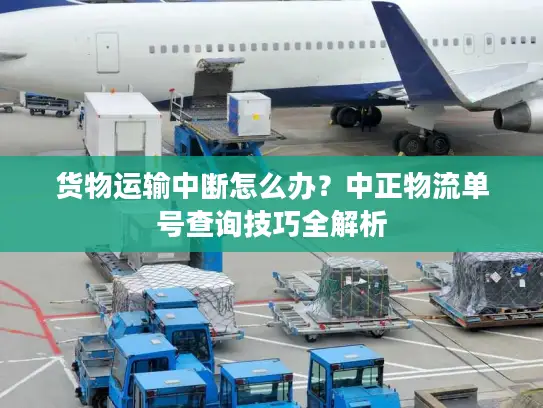 货物运输中断怎么办？中正物流单号查询技巧全解析