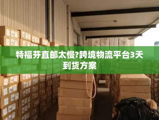 特福芬直邮太慢?跨境物流平台3天到货方案