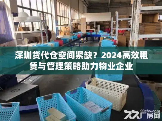 深圳货代仓空间紧缺？2024高效租赁与管理策略助力物业企业