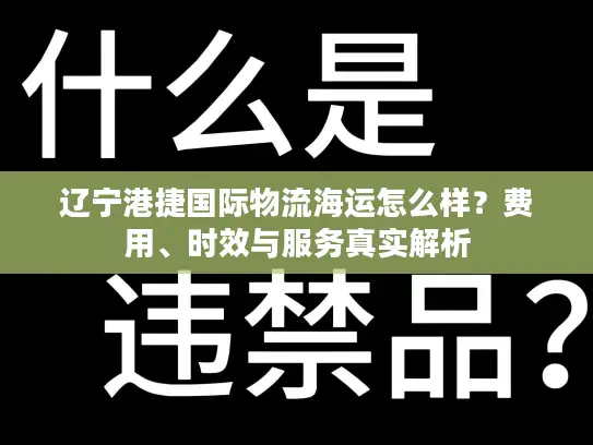 辽宁港捷国际物流海运怎么样？费用、时效与服务真实解析