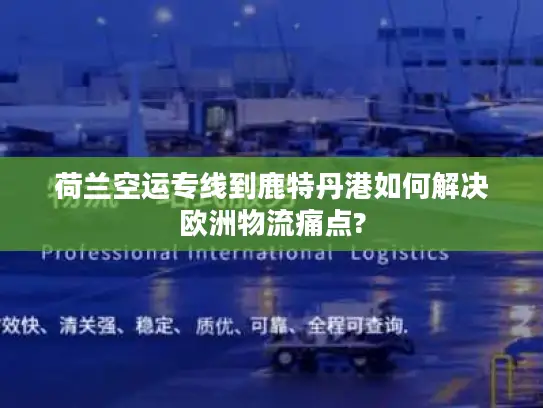 荷兰空运专线到鹿特丹港如何解决欧洲物流痛点?