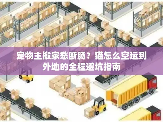 宠物主搬家愁断肠？猫怎么空运到外地的全程避坑指南