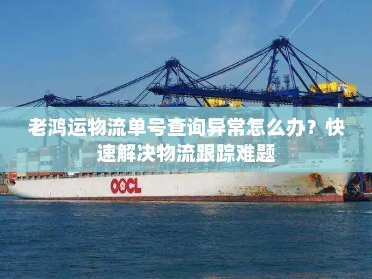 老鸿运物流单号查询异常怎么办？快速解决物流跟踪难题