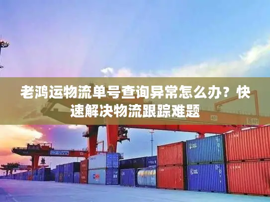 老鸿运物流单号查询异常怎么办？快速解决物流跟踪难题