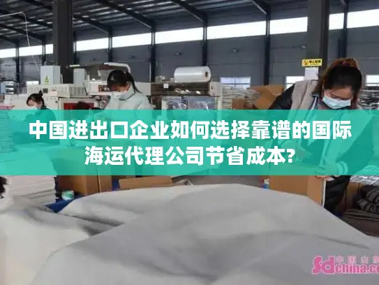 中国进出口企业如何选择靠谱的国际海运代理公司节省成本?