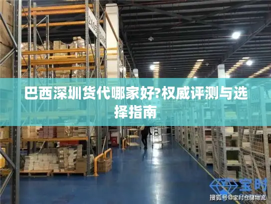 巴西深圳货代哪家好?权威评测与选择指南