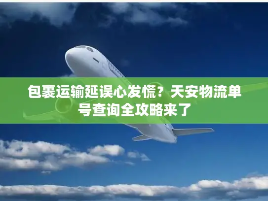 包裹运输延误心发慌？天安物流单号查询全攻略来了