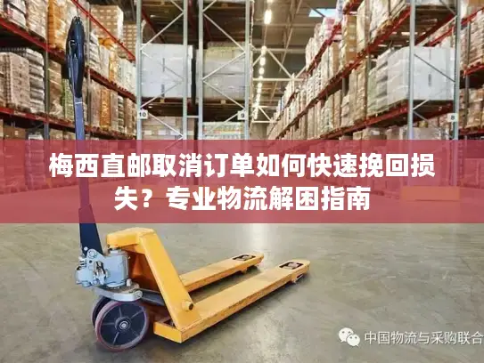 梅西直邮取消订单如何快速挽回损失？专业物流解困指南