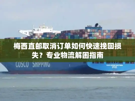梅西直邮取消订单如何快速挽回损失？专业物流解困指南