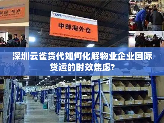深圳云雀货代如何化解物业企业国际货运的时效焦虑?