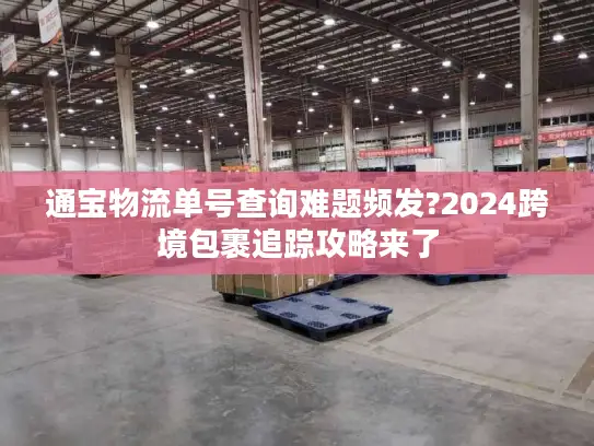 通宝物流单号查询难题频发?2024跨境包裹追踪攻略来了