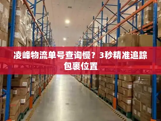 凌峰物流单号查询慢？3秒精准追踪包裹位置