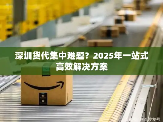深圳货代集中难题？2025年一站式高效解决方案