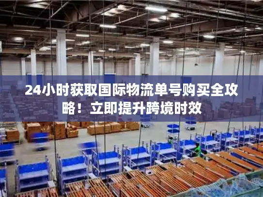 24小时获取国际物流单号购买全攻略！立即提升跨境时效