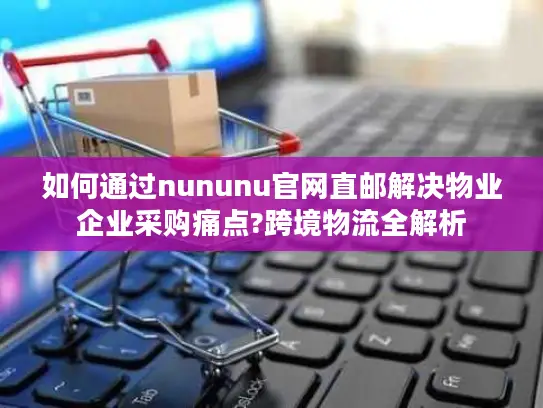 如何通过nununu官网直邮解决物业企业采购痛点?跨境物流全解析
