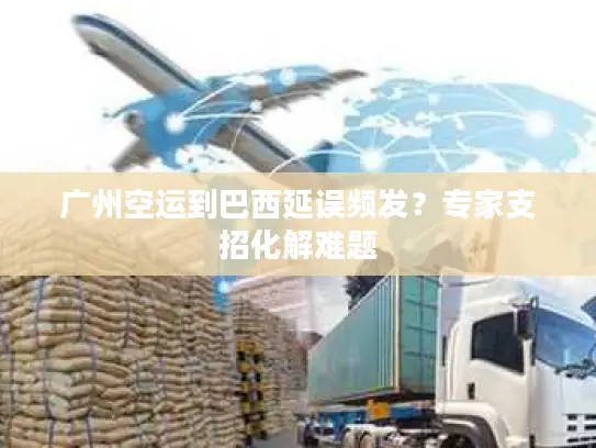 广州空运到巴西延误频发？专家支招化解难题