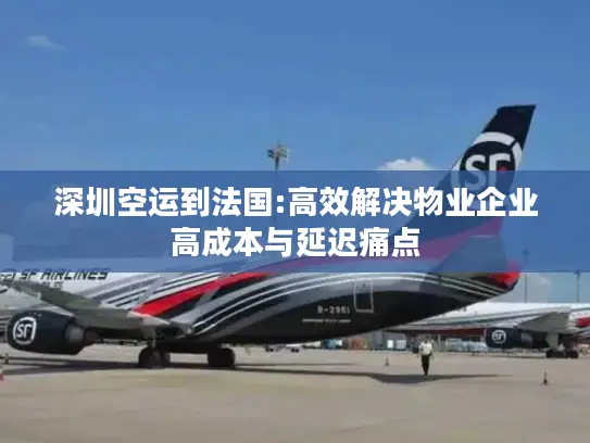 深圳空运到法国:高效解决物业企业高成本与延迟痛点