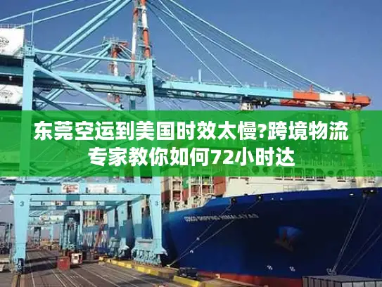 东莞空运到美国时效太慢?跨境物流专家教你如何72小时达