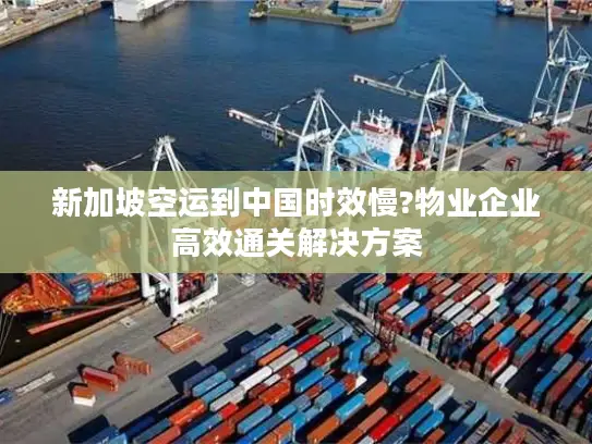 新加坡空运到中国时效慢?物业企业高效通关解决方案