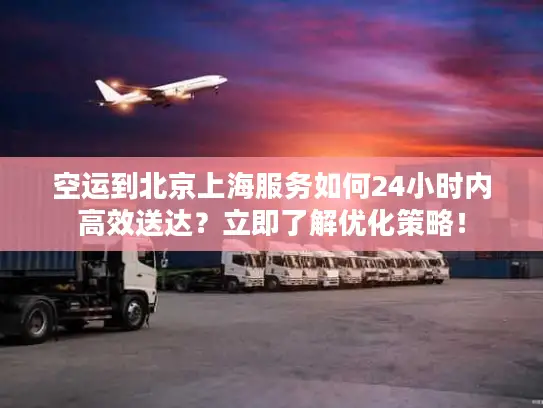 空运到北京上海服务如何24小时内高效送达？立即了解优化策略！